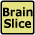 Brain Slice