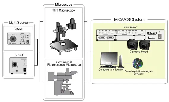 Diagram of MiCAM system
